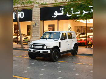 شيري  اي كار  في 23  2025  اوتوماتيك  0 كم  0 سلندر  دفع خلفي  اس يو في  أبيض