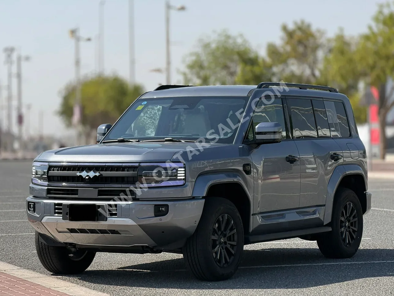 بي واي دي ليوبيرد 5 الترا 5 2025 اوتوماتيك 700 كم 4 سلندر دفع رباعي اس يو في رمادي