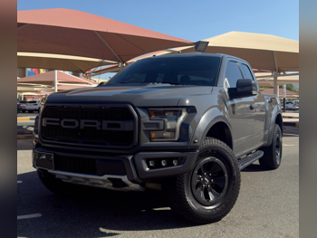 فورد  رابتر  2018  اوتوماتيك  190,000 كم  6 سلندر  دفع رباعي  بيكب  رمادي ناردو