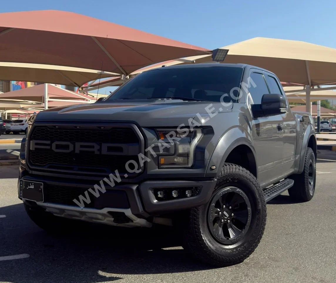 فورد رابتر 2018 اوتوماتيك 190,000 كم 6 سلندر دفع رباعي بيكب رمادي ناردو