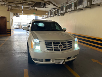 كاديلاك اسكيليد اي اكس تي 2008 اوتوماتيك 94,000 كم 8 سلندر دفع رباعي اس يو في أبيض لؤلؤي