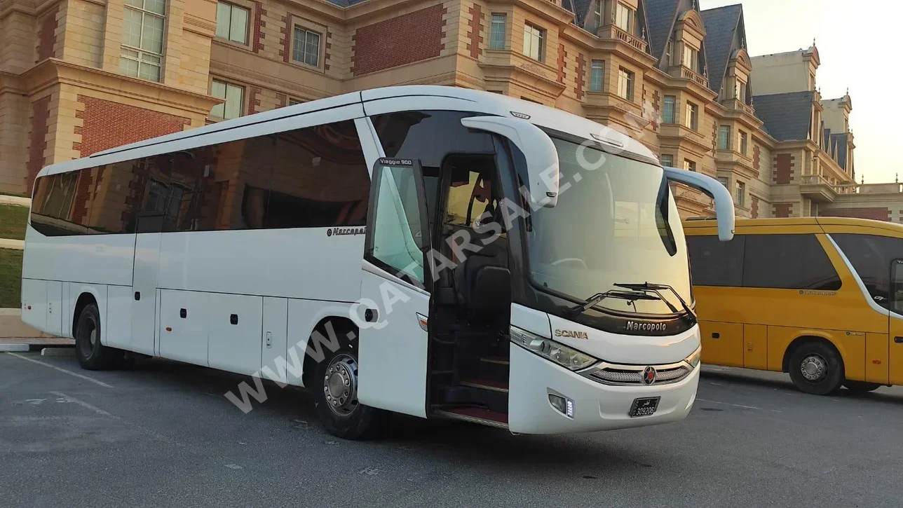 Scania  Marcopolo  BUS  White  2018