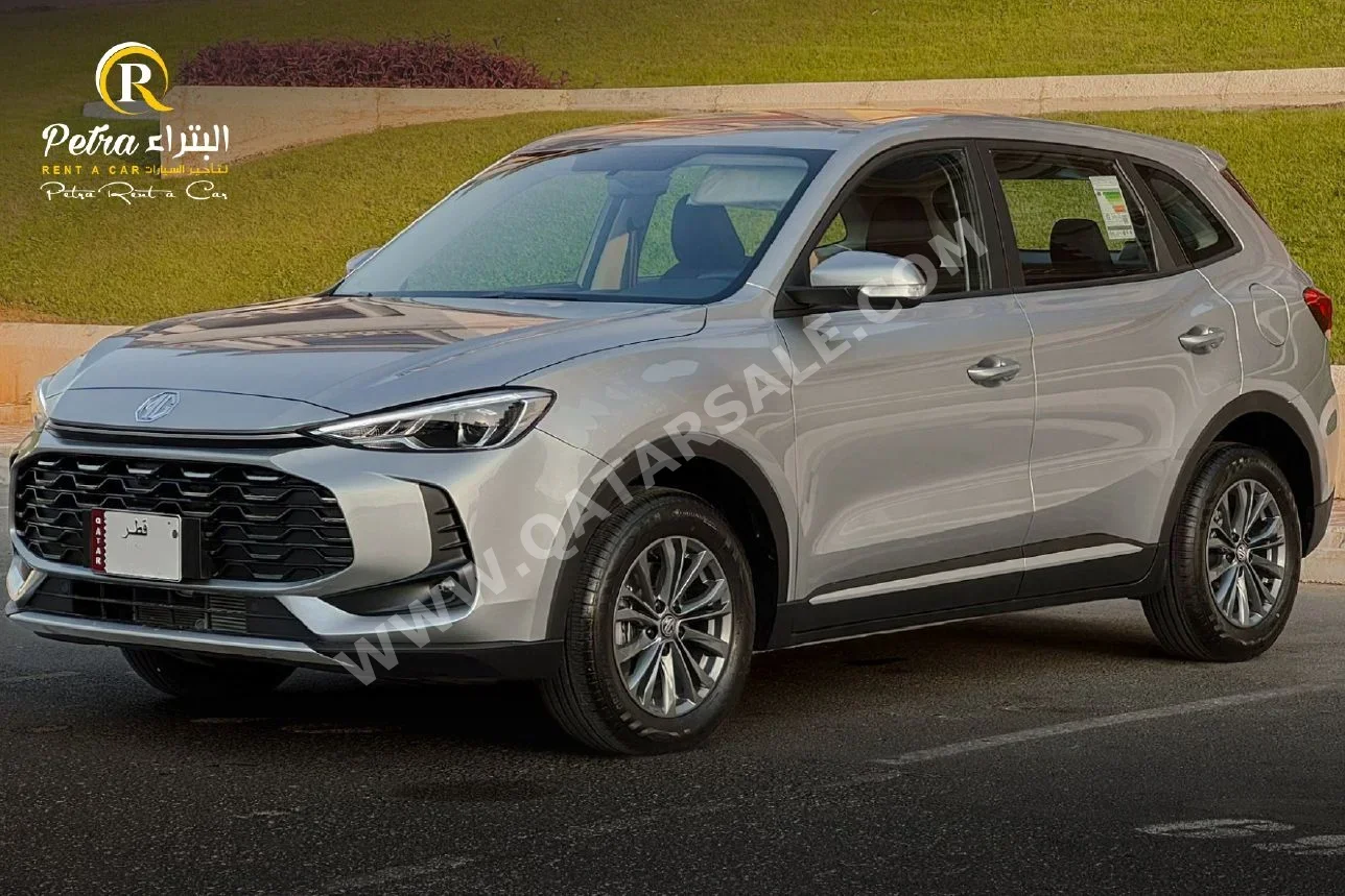 MG  ZS  4 Cylinder  SUV 2x4  Grey  2026