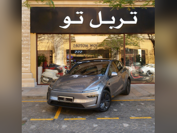 تسلا  واي  2025  اوتوماتيك  2,100 كم  0 سلندر  دفع كلي مستمر  سيدان  رمادي