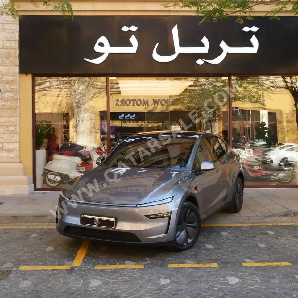 Tesla  Model Y  2025  Automatic  2,100 Km  0 Cylinder  All Wheel Drive (AWD)  Sedan  Gray