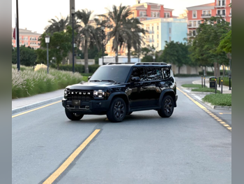 جيتور  تي 2  2025  اوتوماتيك  10,000 كم  4 سلندر  دفع رباعي  اس يو في  أسود  تحت الضمان