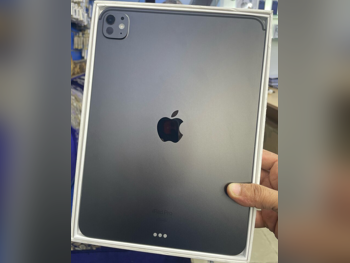 Apple  iPad Pro  (5th generation)  2024 -  256 GB - Connectivity Wi Fi Only