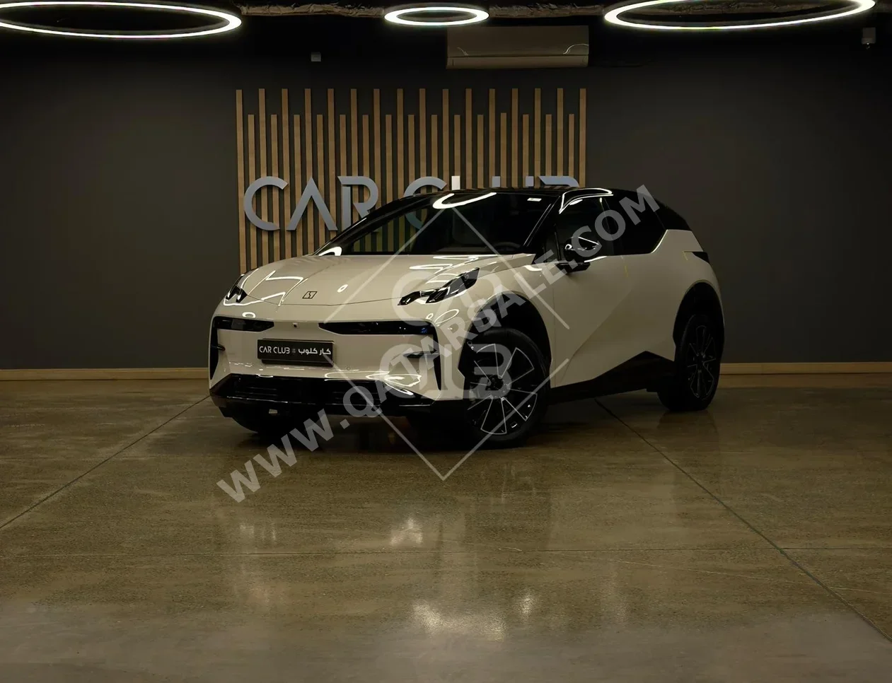 زيكير اكس 2025 اوتوماتيك 3,600 كم 0 سلندر دفع كلي مستمر اس يو في بيج