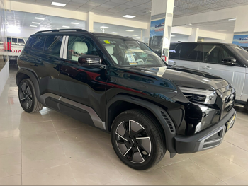 BYD  Leopard 3  2025  Automatic  0 Km  0 Cylinder  Four Wheel Drive (4WD)  SUV  Black