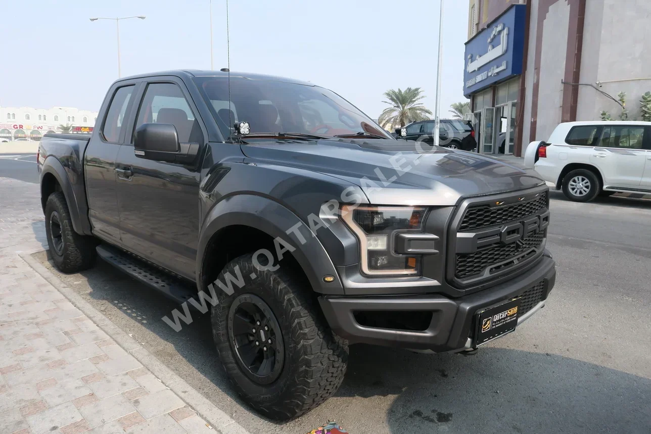 فورد  رابتر  2018  اوتوماتيك  124,000 كم  6 سلندر  دفع رباعي  بيكب  رمادي
