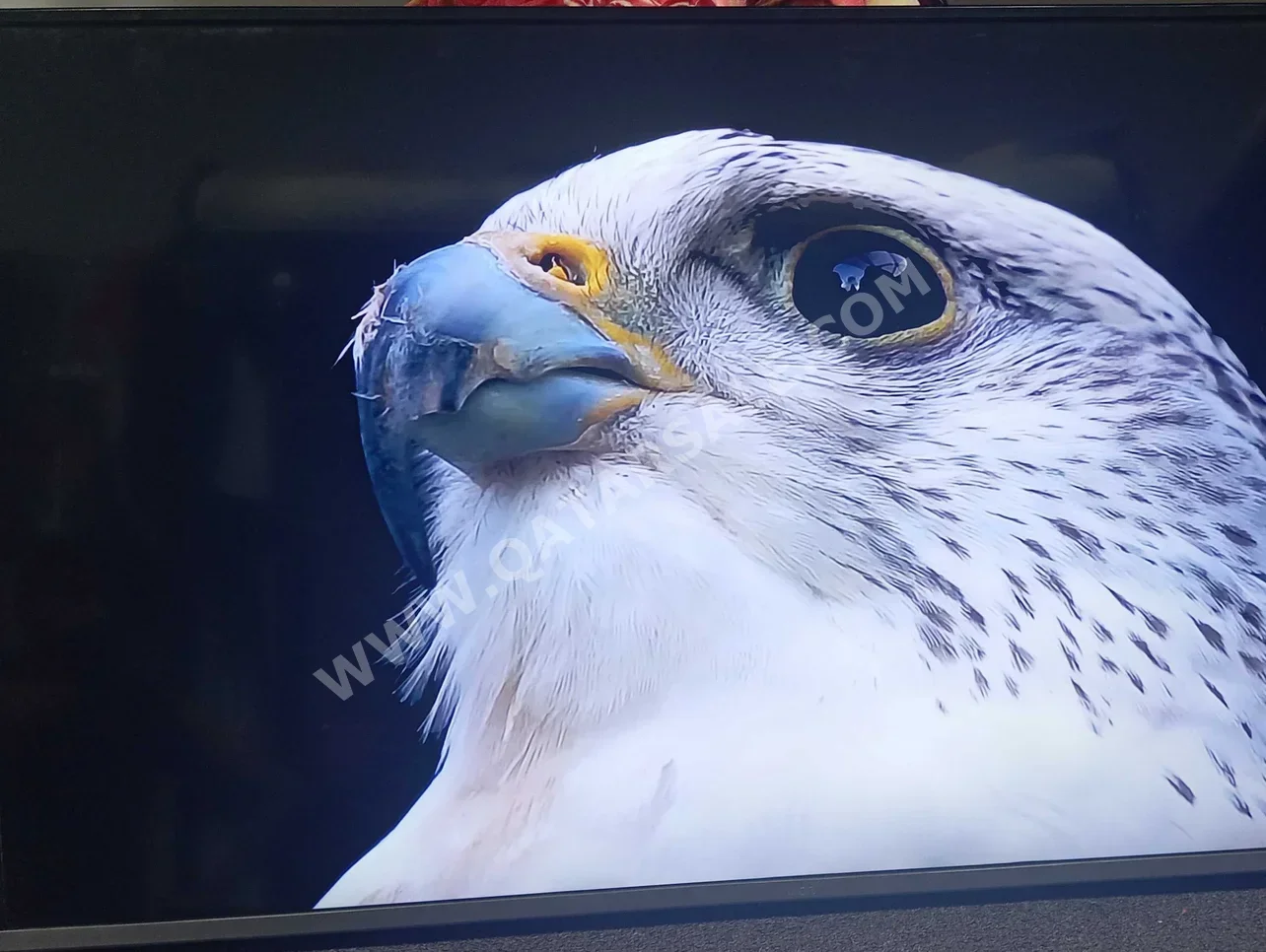 تلفاز نيكاي  - 32 بوصة  - 4 كي او الترا اتش دي