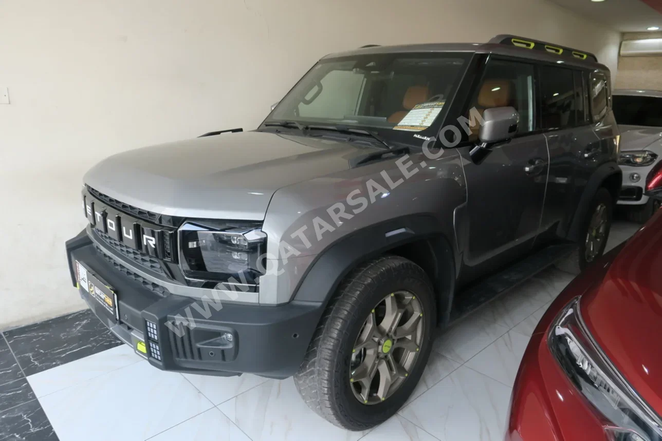 جيتور  تي 2  2025  اوتوماتيك  0 كم  4 سلندر  دفع رباعي  اس يو في  فضي