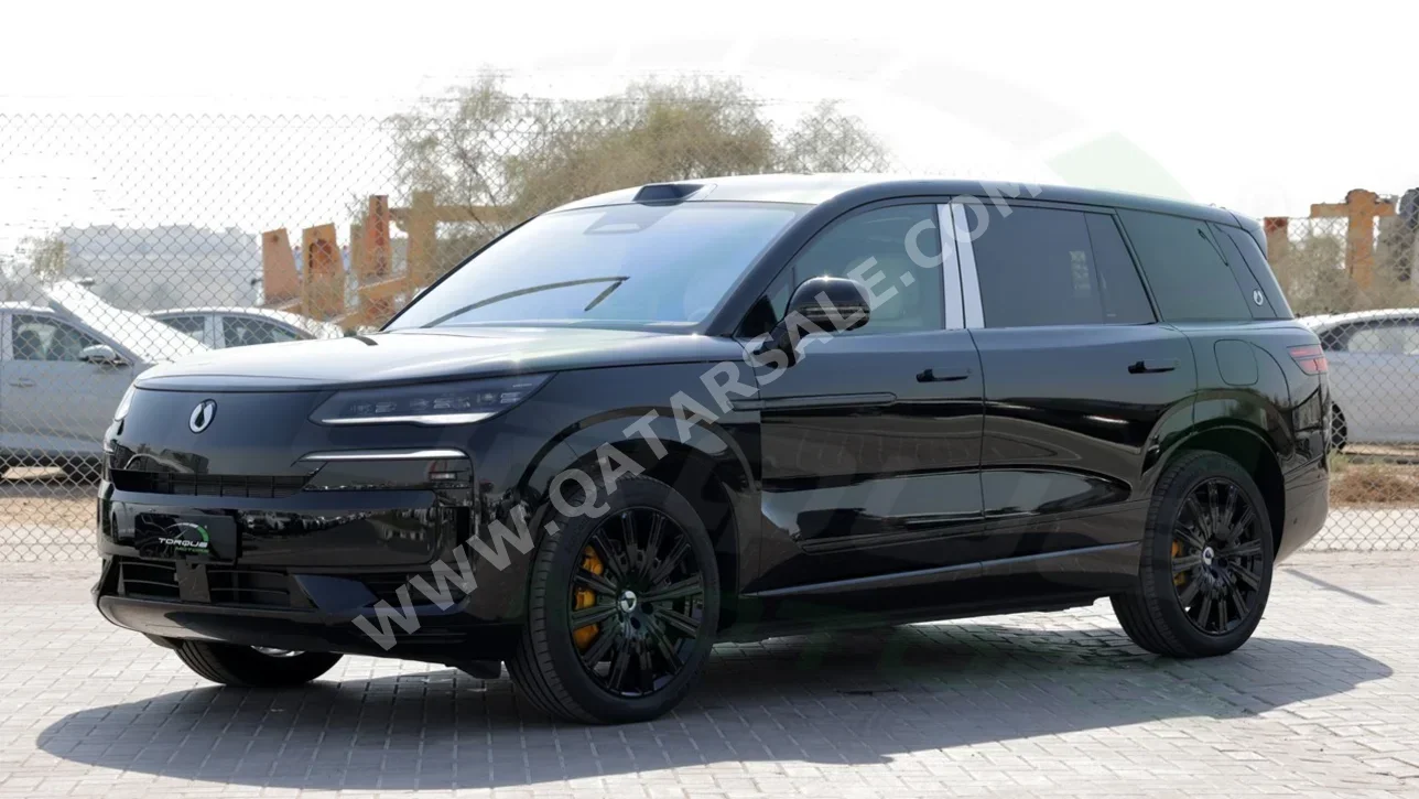 بي واي دي  دينزا  ان 9 فلاك شب  2025  اوتوماتيك  0 كم  4 سلندر  دفع كلي مستمر  اس يو في  أسود