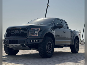 فورد رابتر 2019 اوتوماتيك 210,000 كم 6 سلندر دفع رباعي بيكب رمادي تحت الضمان