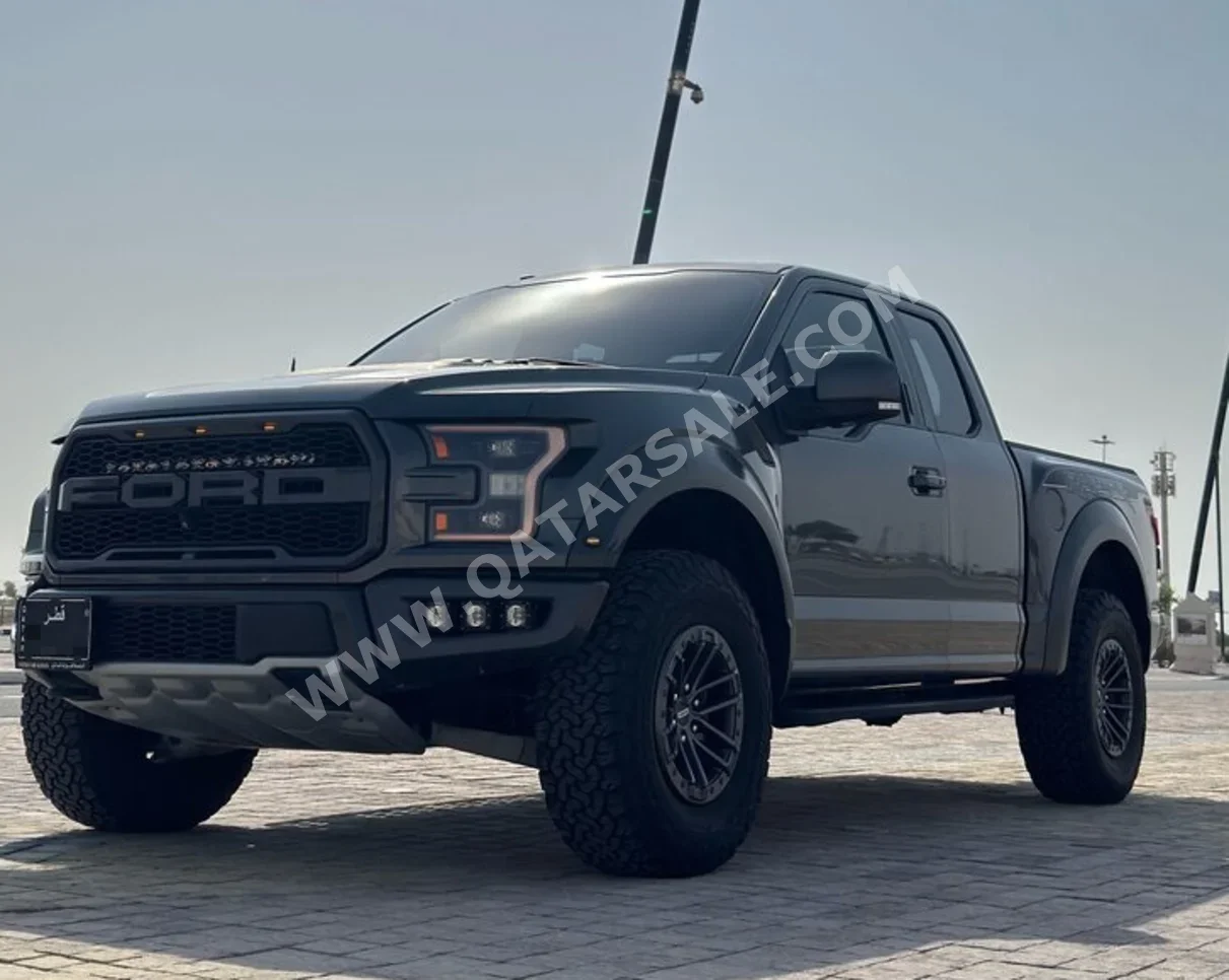 فورد  رابتر  2019  اوتوماتيك  210,000 كم  6 سلندر  دفع رباعي  بيكب  رمادي  تحت الضمان