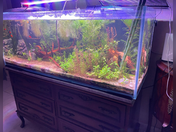 أحواض السمك مع محرك 120 سنتيمتر 40 سنتيمتر 45 سنتيمتر