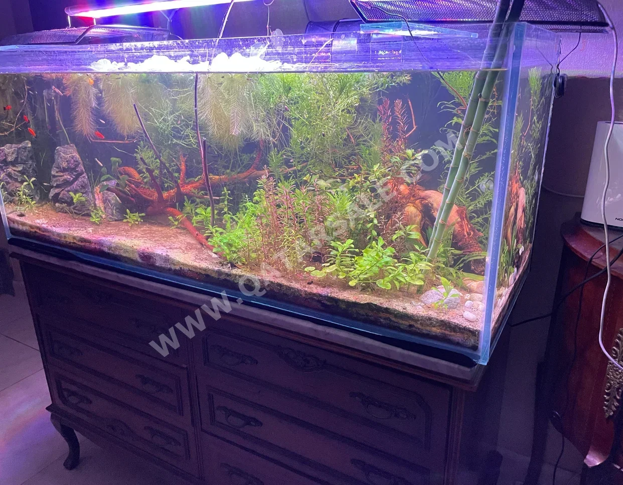 Aquariums With Motor 120 CM 40 CM 45 CM