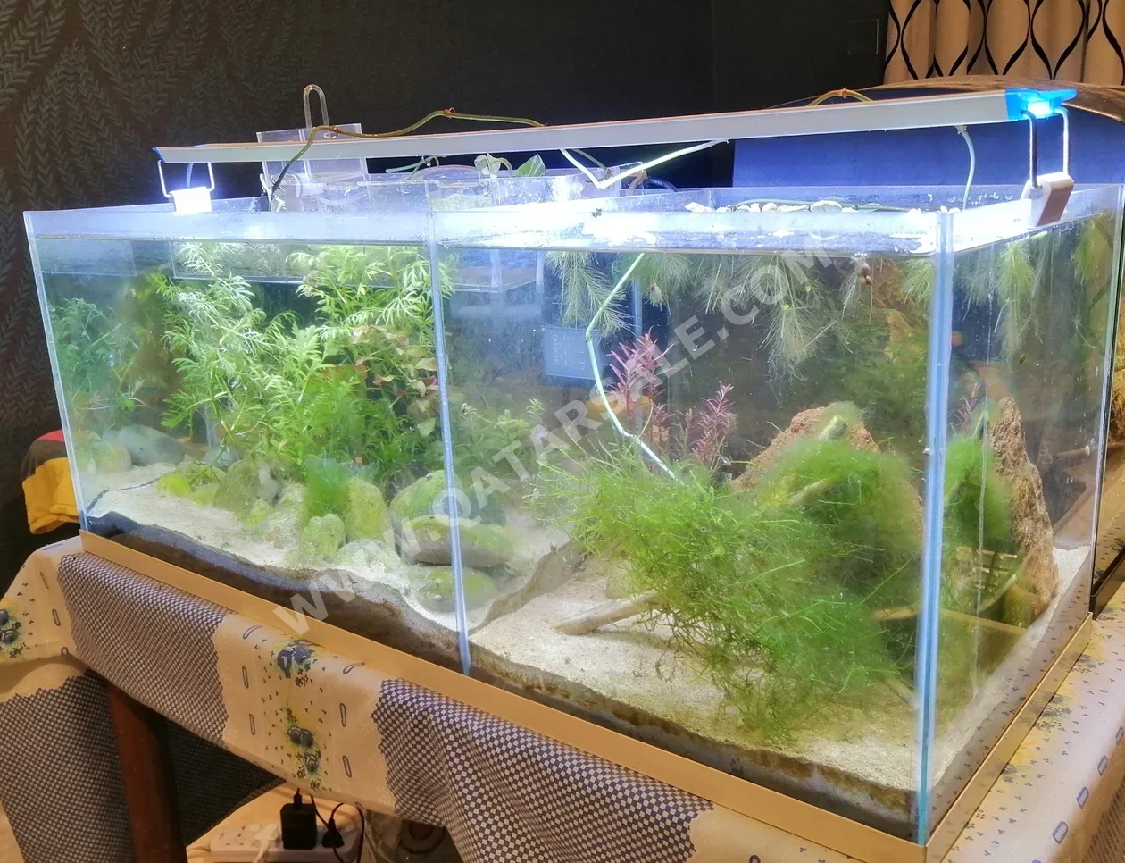 أحواض السمك 80 سنتيمتر 30 سنتيمتر 30 سنتيمتر