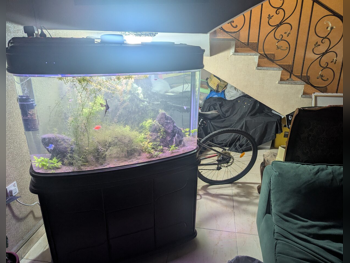 أحواض السمك مع محرك 110 سنتيمتر مع خزنة