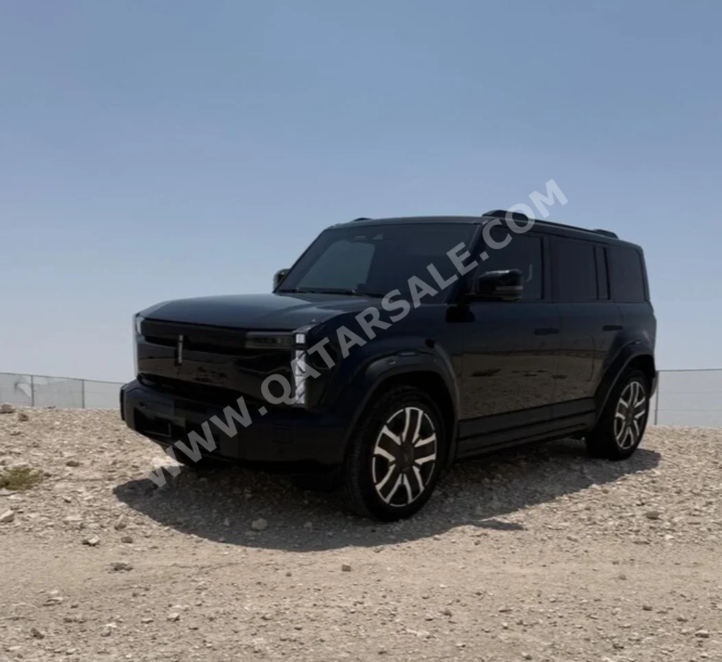 شيري اي كار اي كيو 3 2024 اوتوماتيك 19,545 كم 0 سلندر دفع كلي مستمر اس يو في أسود