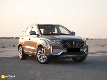 بيستون  تي 33  بريميوم  2021  اوتوماتيك  98,000 كم  4 سلندر  دفع رباعي  اس يو في  بني  تحت الضمان