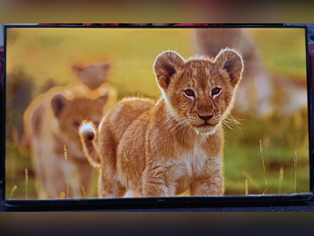 Television (TV) - 43 Inch - Full HD