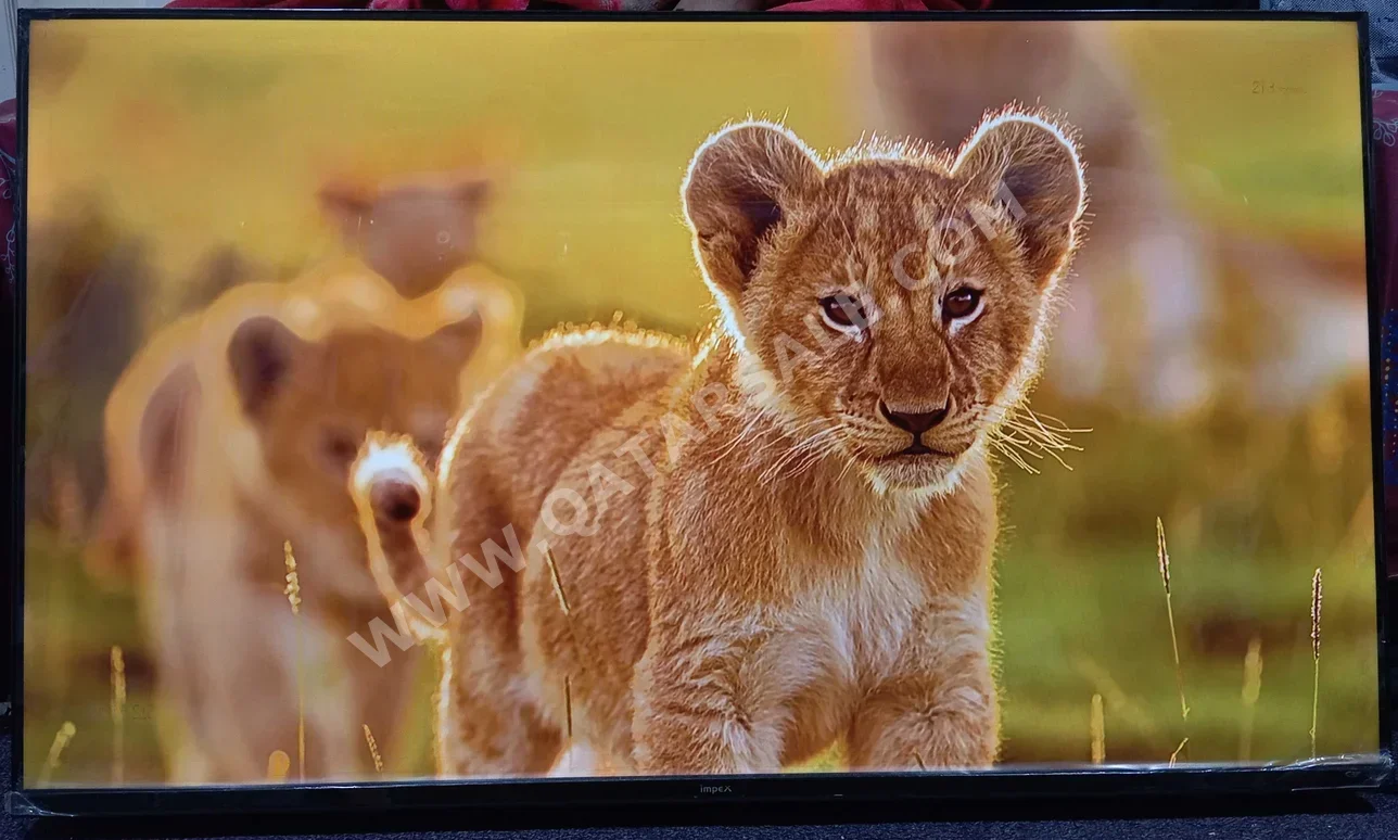 Television (TV) - 43 Inch - Full HD