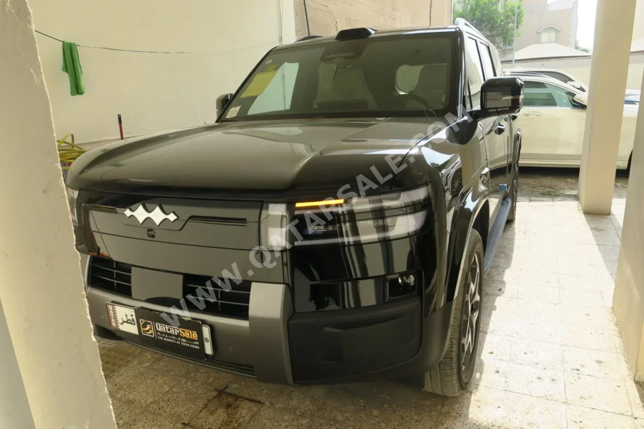 بي واي دي 5 2025 اوتوماتيك 0 كم 4 سلندر دفع رباعي اس يو في أسود