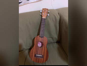 Ukulele Brown 2021 Bag Case Included / For Intermediate