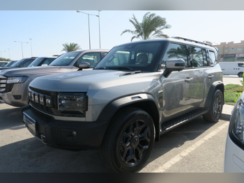 Jetour T2 Luxury 2025 Automatic 17,000 Km 4 Cylinder Four Wheel Drive (4WD) SUV Silver With Warranty