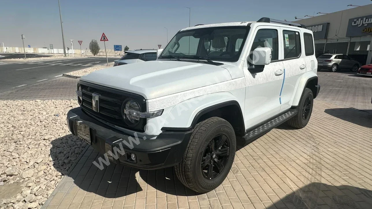 جي دبليو ام  تانك  300  2026  اوتوماتيك  0 كم  4 سلندر  دفع كلي مستمر  اس يو في  أبيض