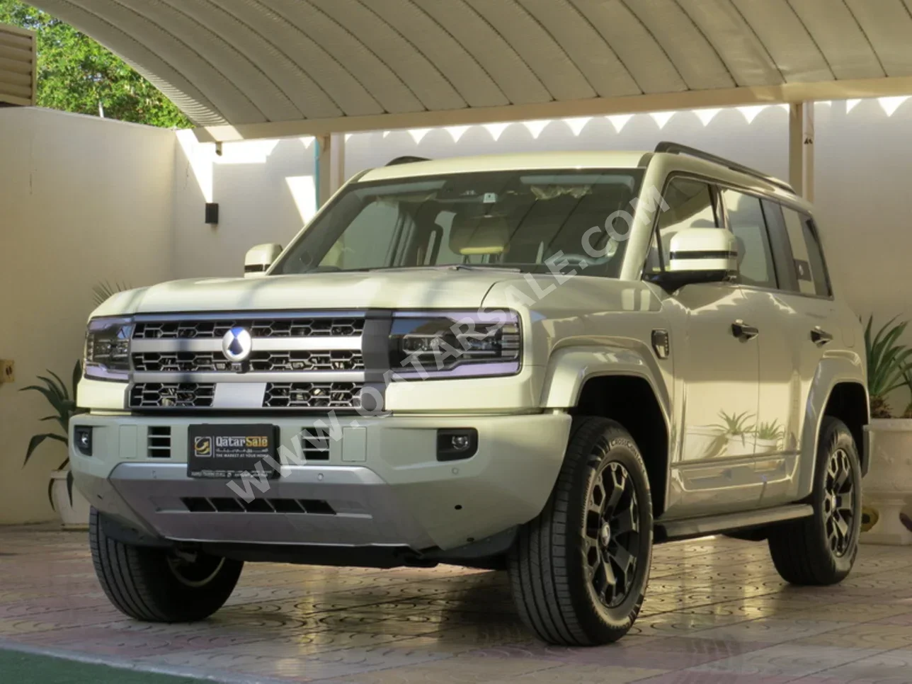 بي واي دي دينزا بي 5 2026 اوتوماتيك 0 كم 4 سلندر دفع رباعي اس يو في أخضر تحت الضمان