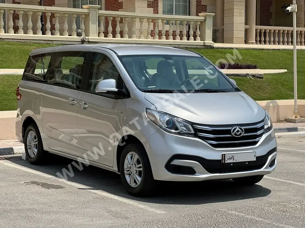 Maxus  G 10  VAN  Silver  2022