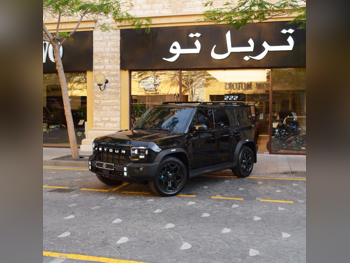 جيتور  تي 2  اي- دي ام  2025  اوتوماتيك  14,800 كم  4 سلندر  دفع رباعي  اس يو في  أسود  تحت الضمان