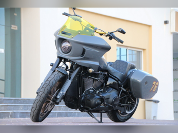 Harley Davidson  Low Rider ST -  2022 - Color Gray