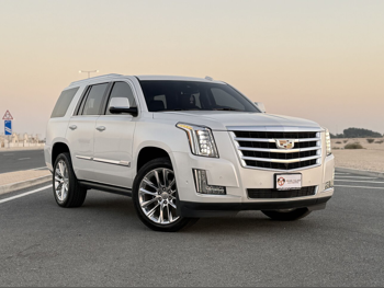 كاديلاك  اسكيليد  بلاتينيوم  2020  اوتوماتيك  34,500 كم  8 سلندر  دفع كلي مستمر  اس يو في  أبيض