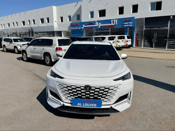 Changan  UNI-K  2024  Automatic  65,000 Km  4 Cylinder  Four Wheel Drive (4WD)  SUV  White  With Warranty