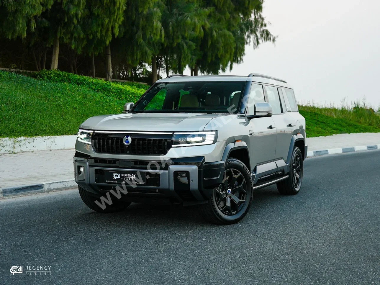 بي واي دي  دينزا بي 8  4 سلندر  فخمة  فضي  2026