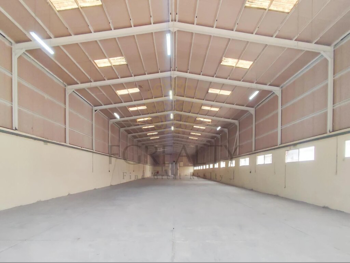 مخازن و مستودعات - الريان  - المنطقة الصناعية  -المساحة: 6000 متر مربع