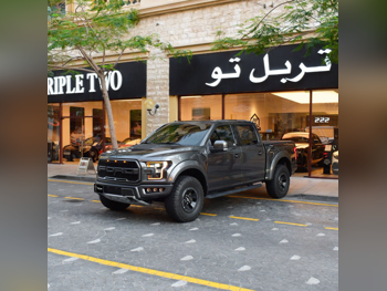 فورد  رابتر  2018  اوتوماتيك  33,440 كم  6 سلندر  دفع رباعي  بيكب  رمادي