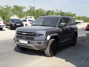 BYD  Denza  B 5  2025  Automatic  0 Km  4 Cylinder  Four Wheel Drive (4WD)  SUV  Gray