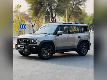 Jetour  T2  Luxury  2025  Automatic  23,000 Km  4 Cylinder  Front Wheel Drive (FWD)  SUV  Gray Metallic  With Warranty