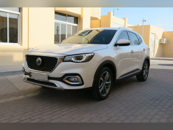 ام جي  اتش اس  2020  اوتوماتيك  78,000 كم  4 سلندر  دفع رباعي  اس يو في  أبيض  تحت الضمان