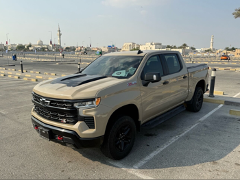 Chevrolet  Silverado  LT Trail Boss Z71  2023  Automatic  30,000 Km  8 Cylinder  Four Wheel Drive (4WD)  Pick Up  Beige