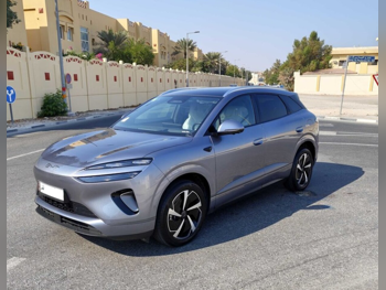 بي واي دي سي لون 06 2025 اوتوماتيك 0 كم 4 سلندر سحب امامي اس يو في رمادي تحت الضمان