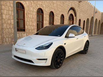 Tesla Model Y 2024 Automatic 20,000 Km 0 Cylinder All Wheel Drive (AWD) SUV White