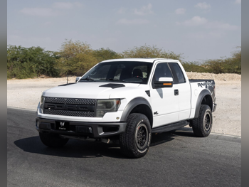 فورد  رابتر  2014  اوتوماتيك  187,000 كم  6 سلندر  دفع رباعي  بيكب  أبيض