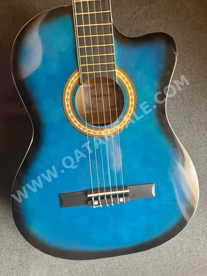 Electric Guitar  Friedman  Blue  Qatar /  For Intermediate