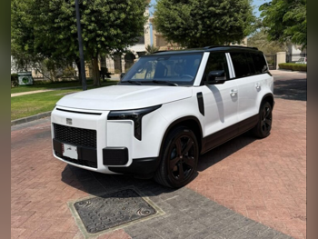 Rox Motor  Jishi  01 VIP  2025  Automatic  0 Km  4 Cylinder  All Wheel Drive (AWD)  SUV  White and Black