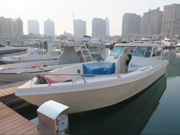 قوارب صيد وشراعية - دبي مارين - التيميت 38 - الامارات - 2009 - أبيض